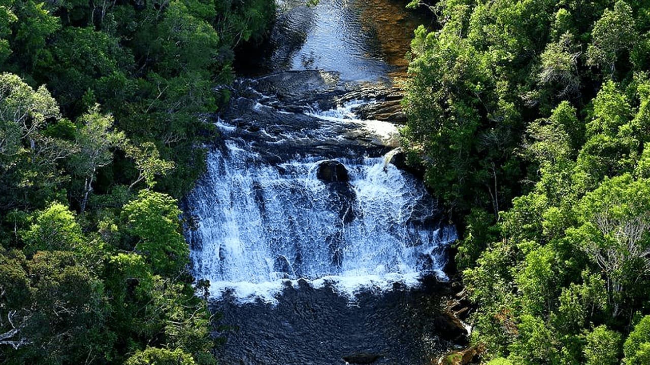 Paisagem verde na região de Uruçuca