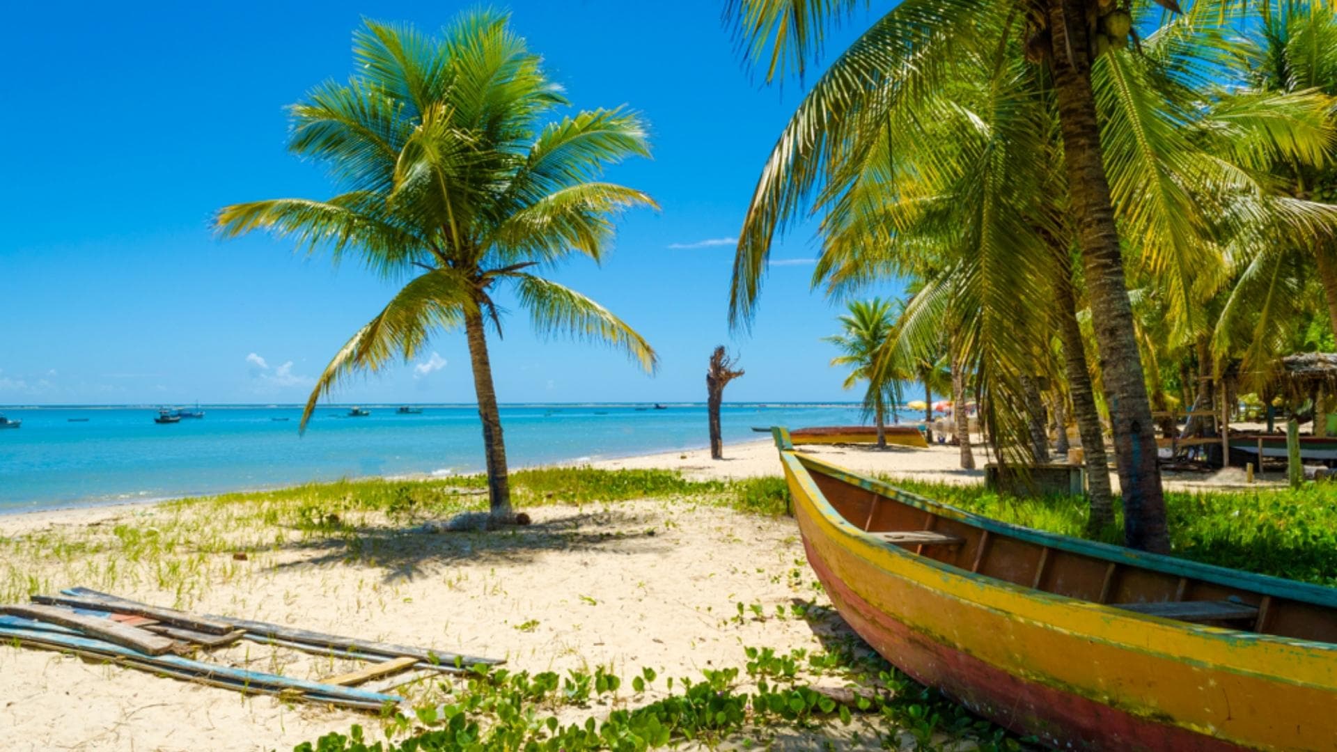 Praia paradisíaca de Ilhéus vista do alto